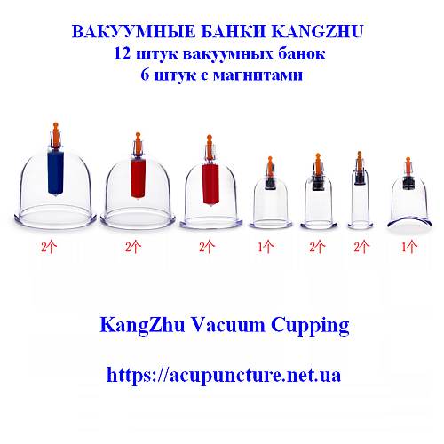 kangzhu-12pcs-1