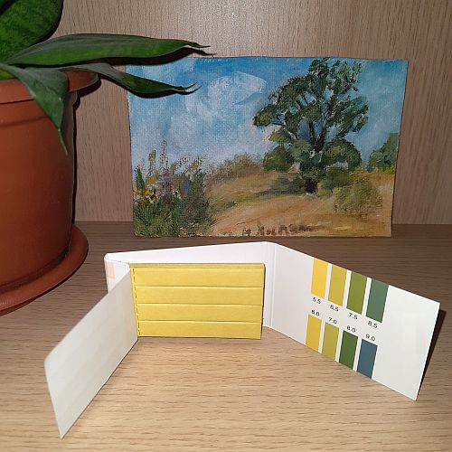 Тест-полоска для определения уровня pH 80штук 5.5-9.0pH