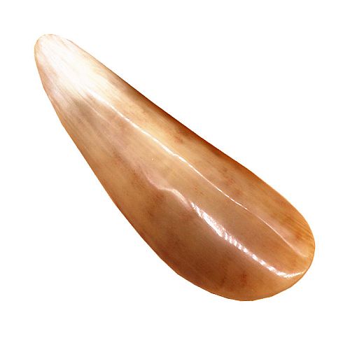 rog-bujvola-polovina